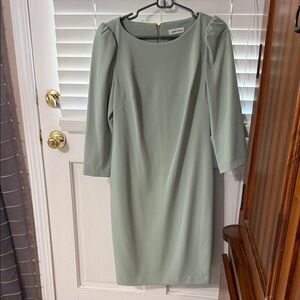 Calvin Klein Collection Soft Green Long Sleeve Dress